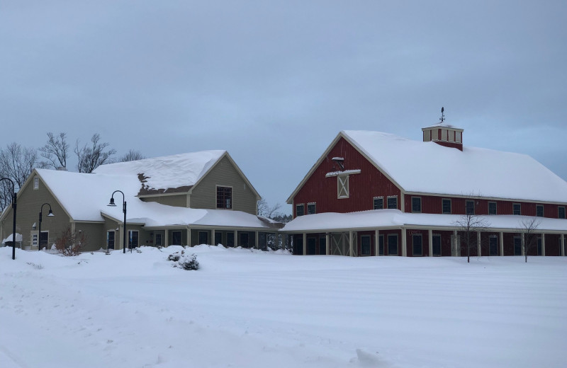 Winter at Avaloch Farm.