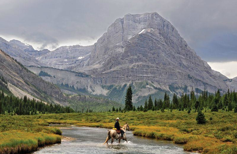 Horseback riding at Banff Trail Riders.