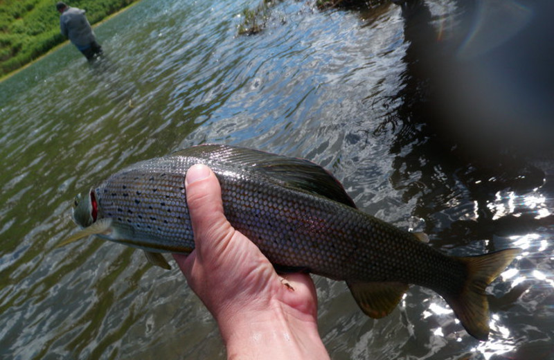 Fishing at Trail Lake Lodge.