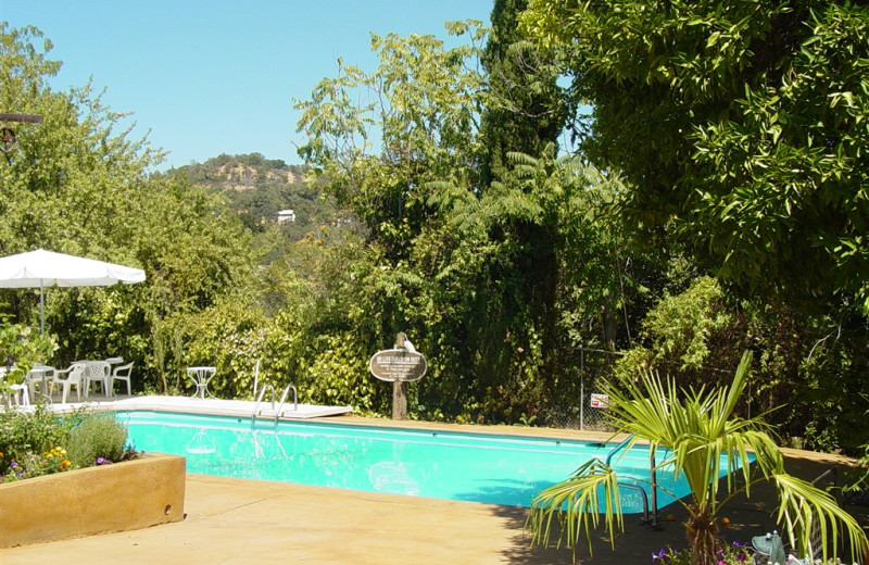 Outdoor pool at Hotel Leger.