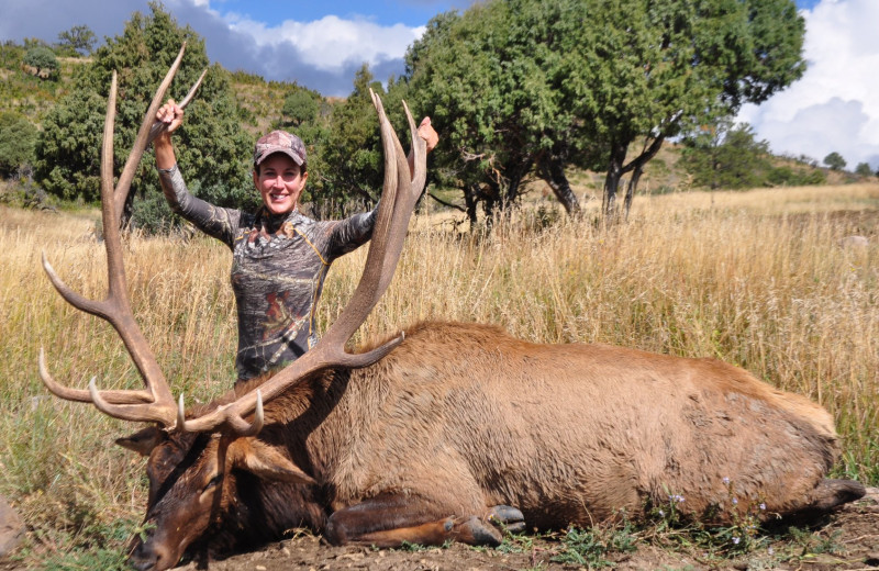 Elk hunting at Lodge at Chama.