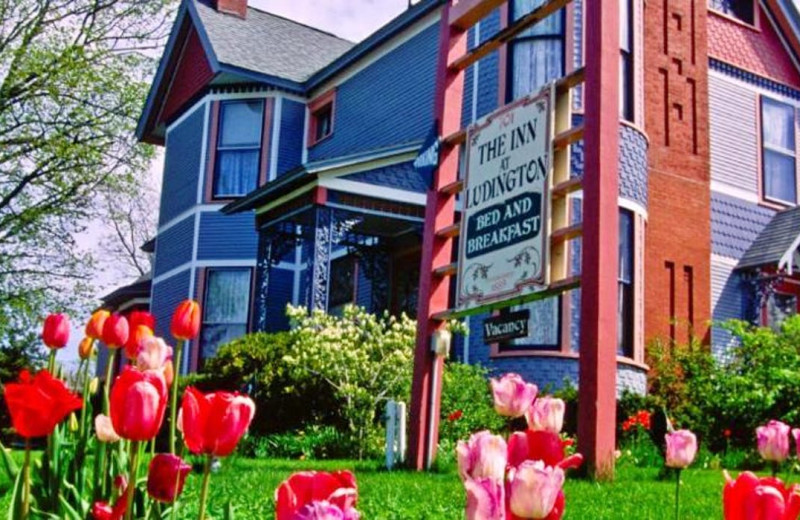 Exterior view of Inn at Ludington.