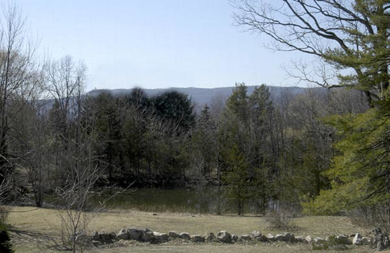 View from Moondance Ridge Bed & Breakfast.