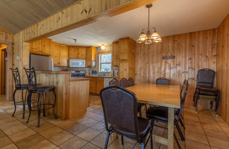 Cabin kitchen at Ten Mile Lake Resort.