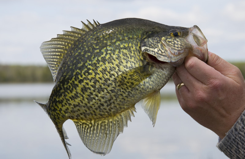 Fishing at Kel's Kove.