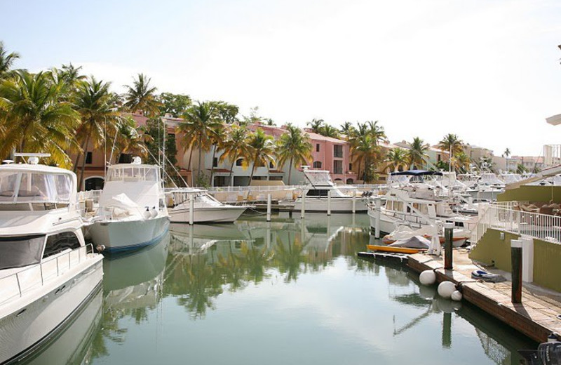 Harbor View of Club Cala de Palmas