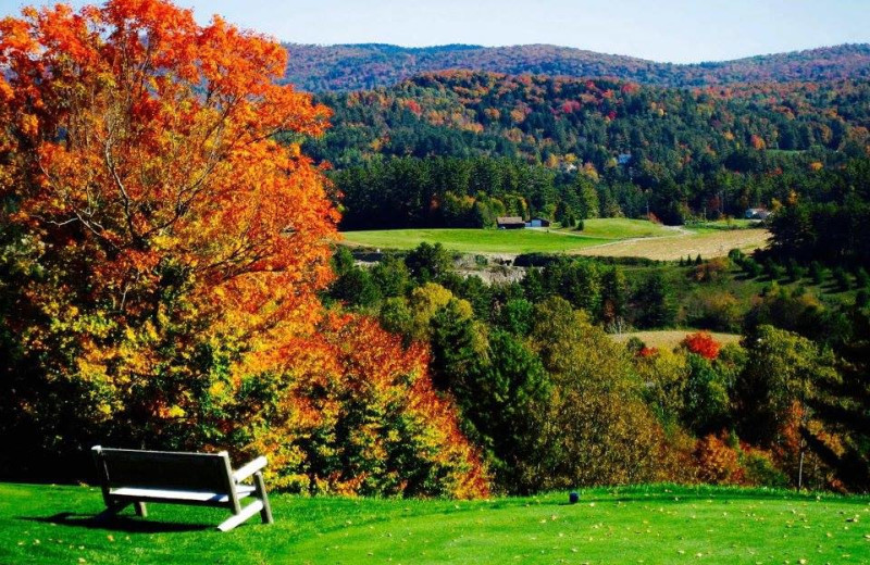 Golf near Rabbit Hill Inn.