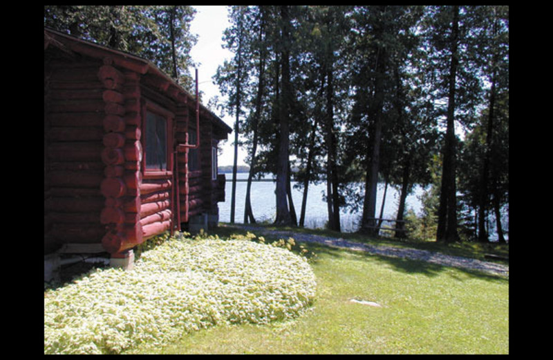 Cabin at North Shore Bay Resort.