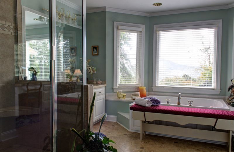 Cabin bathroom at Georgia Mountain Rentals.