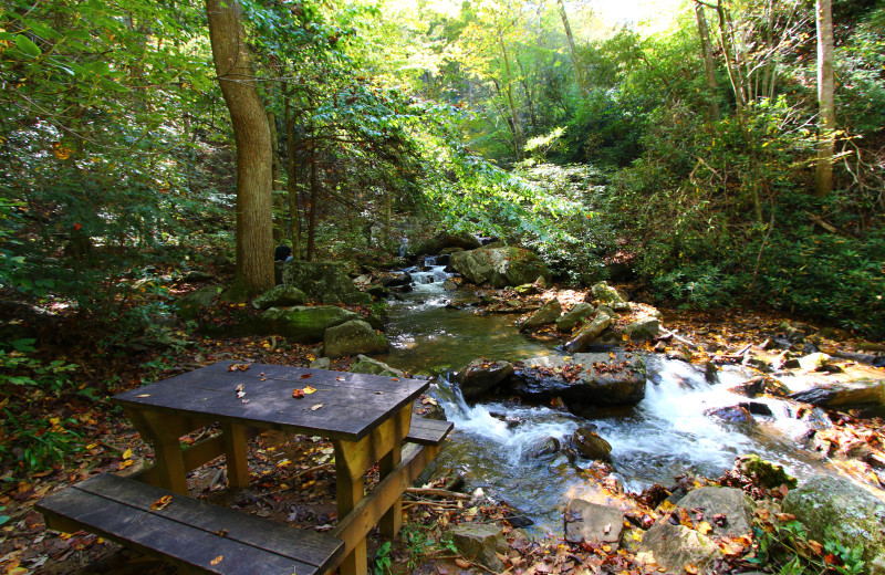 Picnic area at Orchard Inn and Cottages.