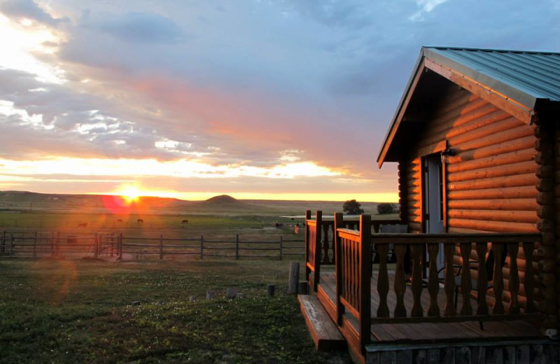 Cabin exterior at Colorado Cattle Company Ranch.