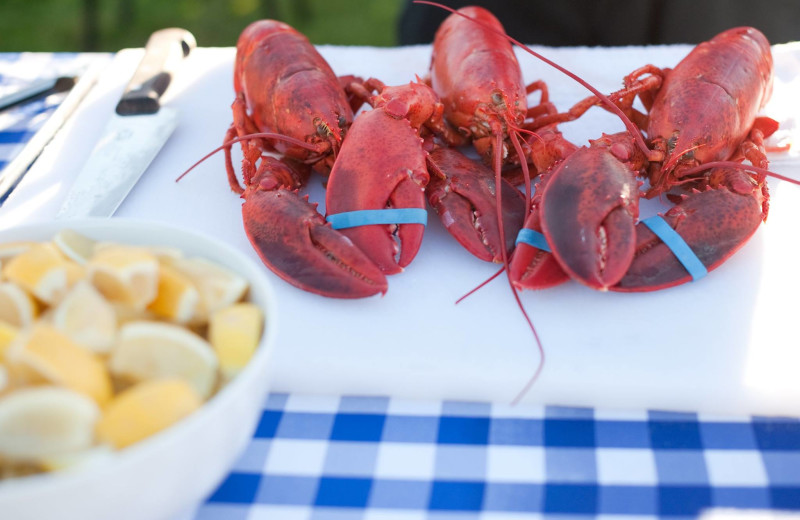 Lobster at Winnetu Oceanside Resort.