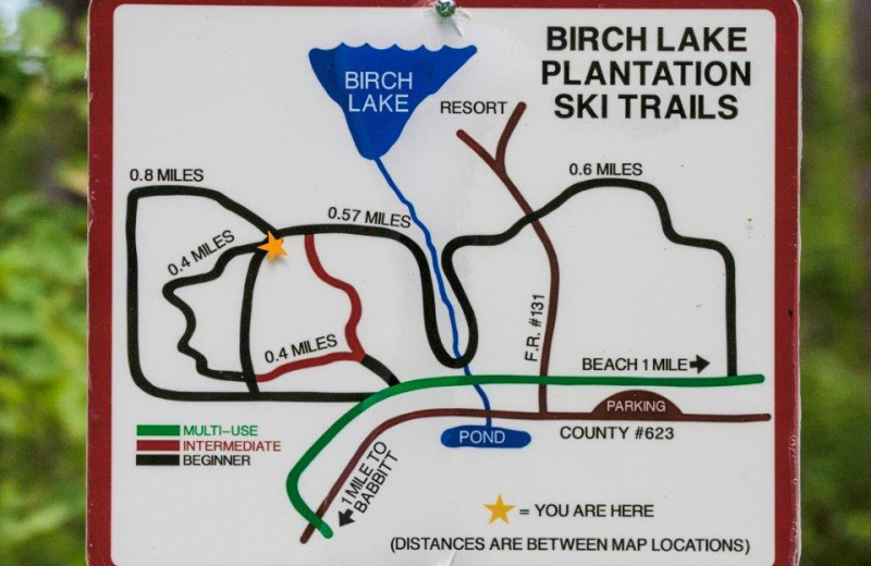 Ski and hiking trails at Timber Bay Lodge & Houseboats.