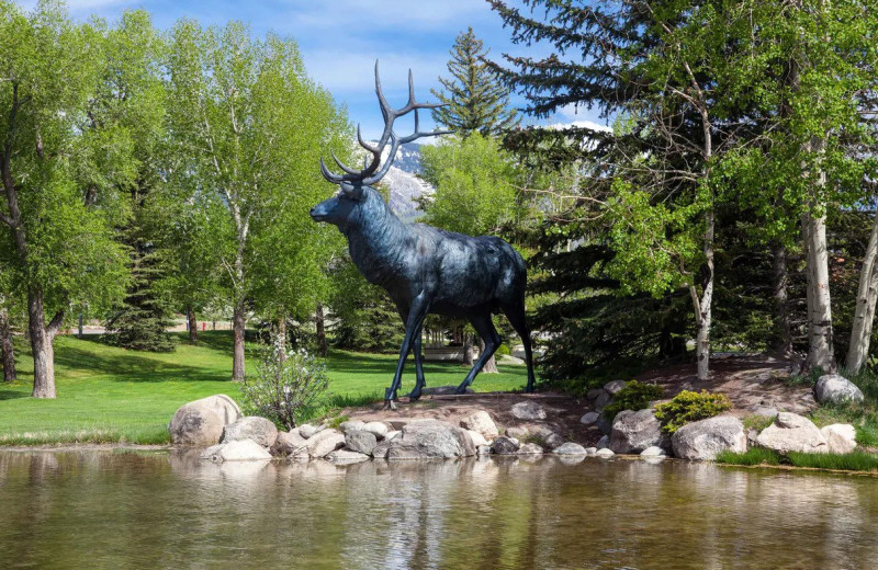 Nearby attraction at Sheraton Steamboat Resort.