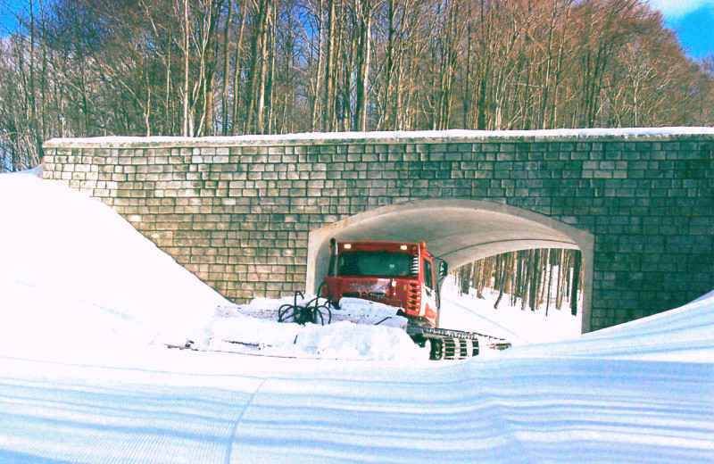 Winter at Hamlet Village Resort Condominiums.