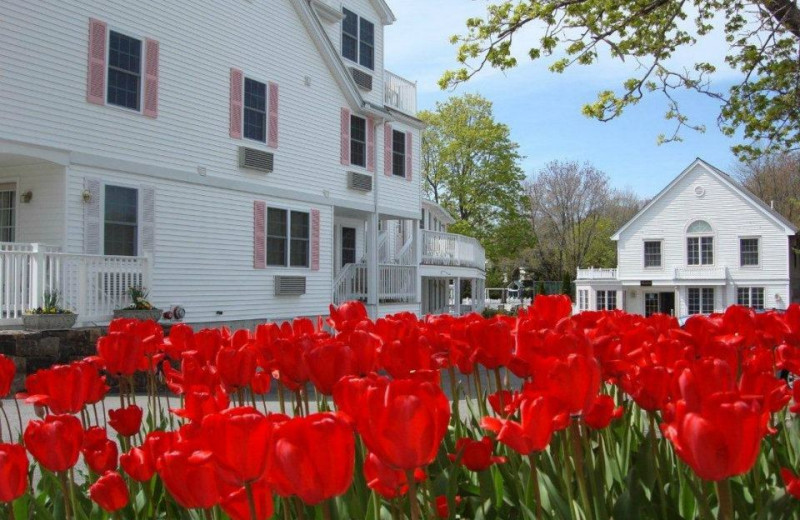 Exterior view of Pink Blossoms Resort.