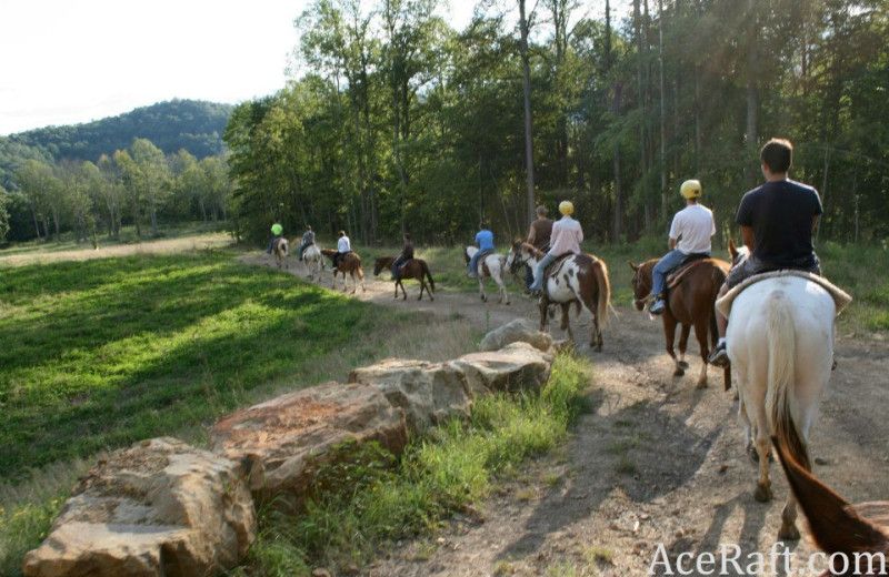 Horseback riding at ACE Adventure Resort.