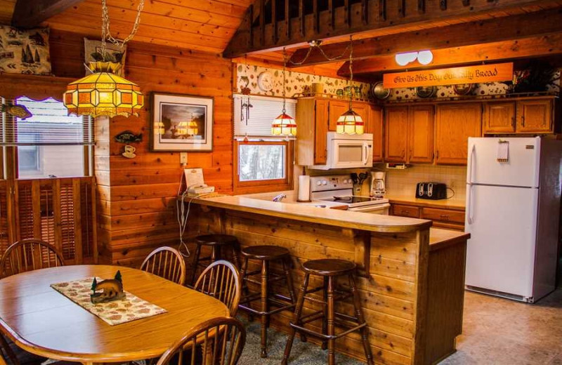 Cabin kitchen at Boyd Lodge.