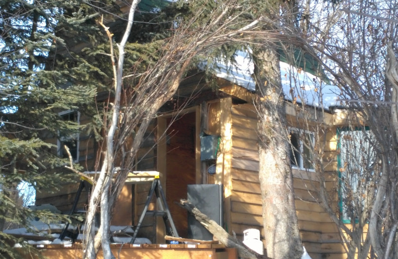 Cabin exterior at Hungry Moose Bed and Breakfast.