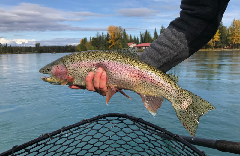 Fishing at Kenai River Drifter's Lodge.