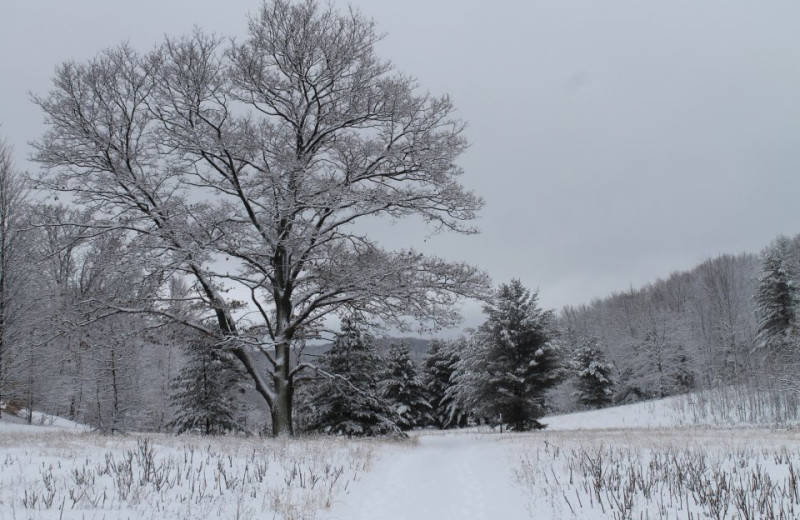 Wintery View at Fairway Inn