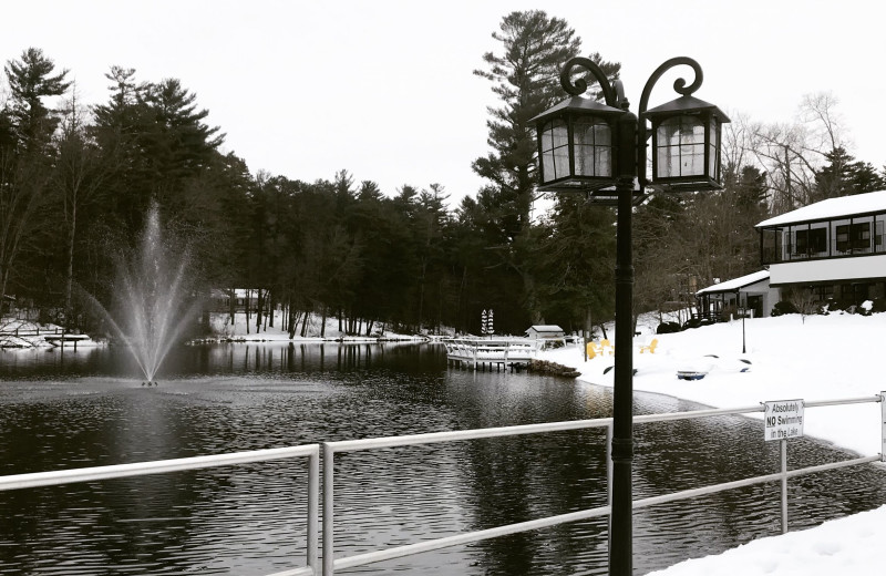 Winter lake view at Mill House Lodge.