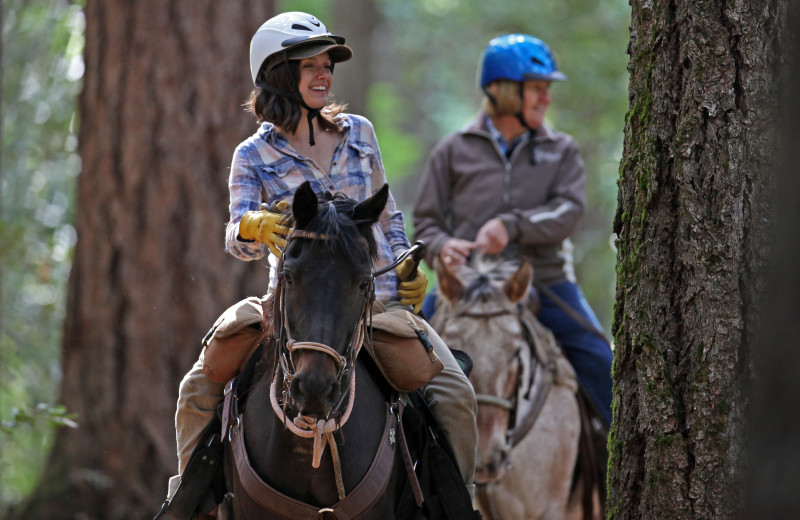 Horseback riding at Marble Mountain Guest Ranch.