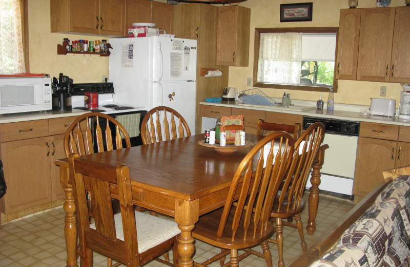 Cabin kitchen at Harris Hill Resort.