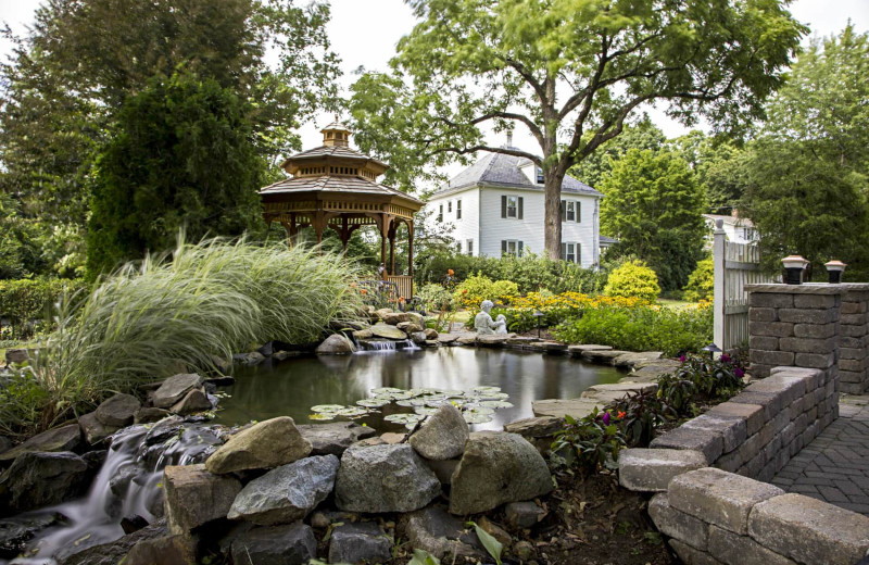 Pond at The Whistling Swan Inn.