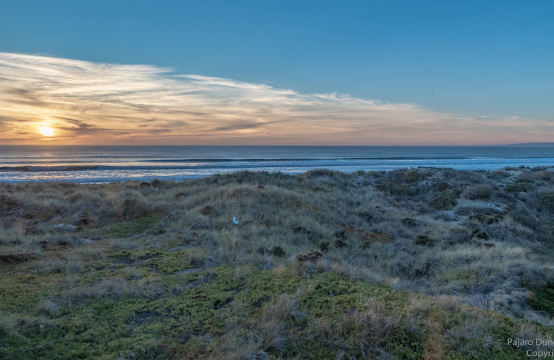 Beach view at Pajaro Dunes Resort.