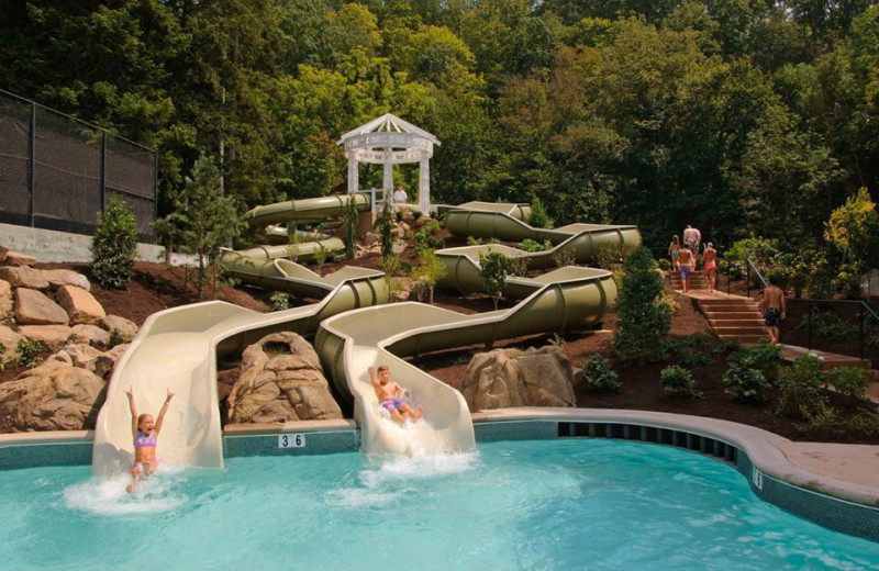 Water slides at The Homestead.