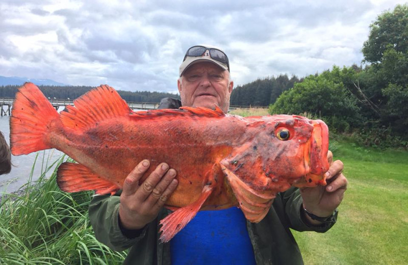 Fishing at Port Lions Lodge.