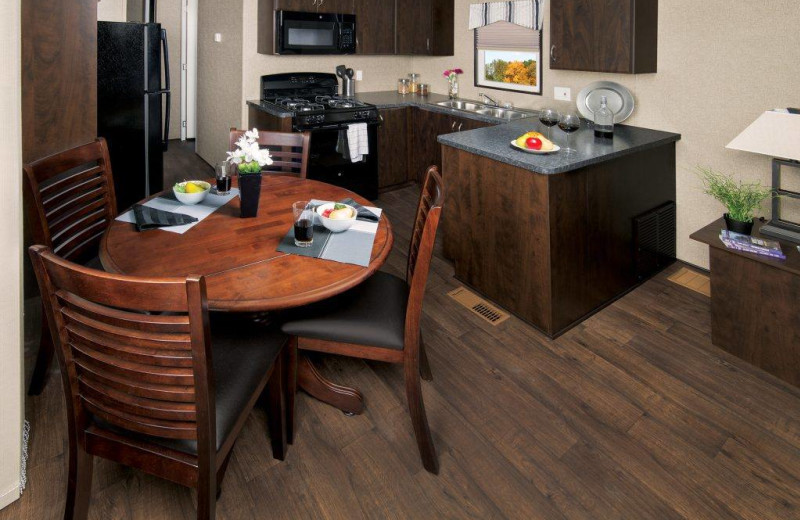 Cabin kitchen at Great Blue Resorts- Vine Ridge Resort.
