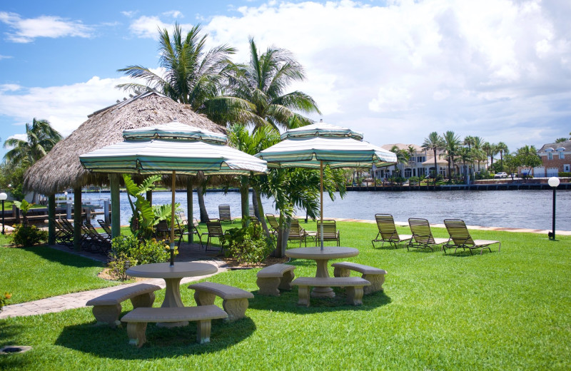 Picnic area at Royal Flamingo Villas.