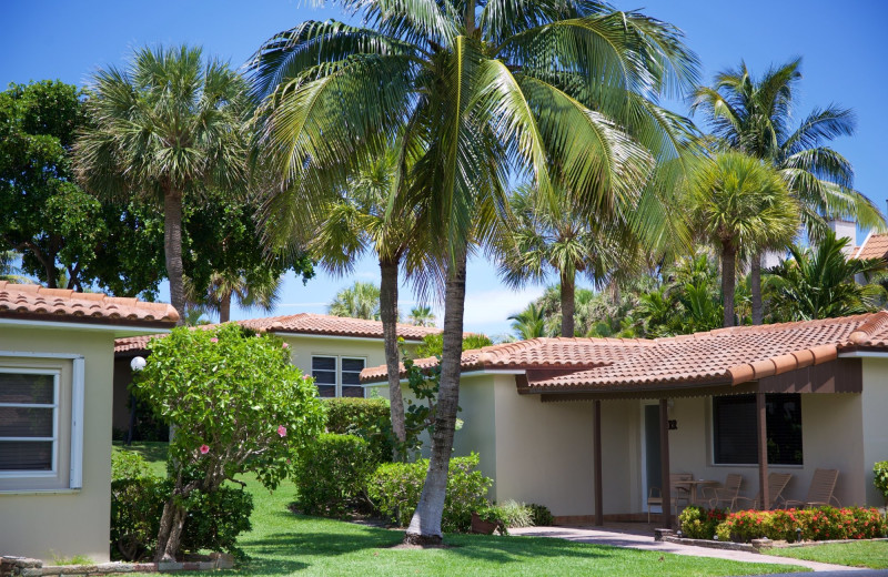 Exterior view of Royal Flamingo Villas.