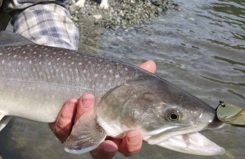 Fishing at Harrison Beach Hotel.