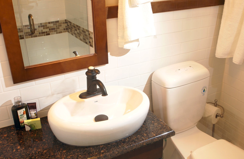 Guest bathroom at Elkhorn Manor.