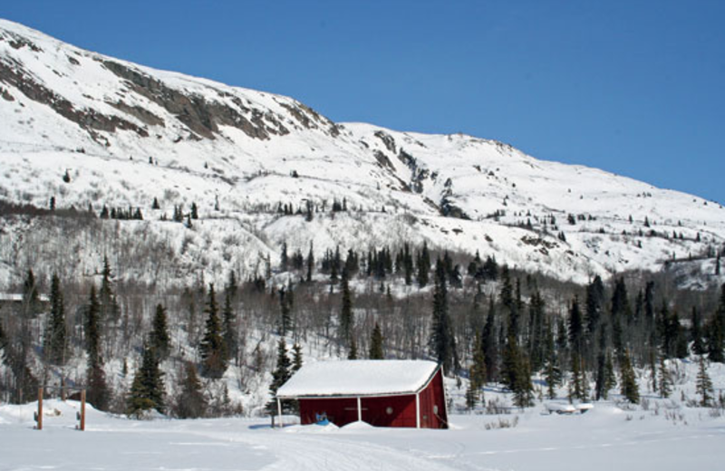 Mountain view with cabin at Majestic Valley Lodge.