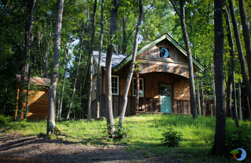 Cabin exterior at Blue Moon Rising.