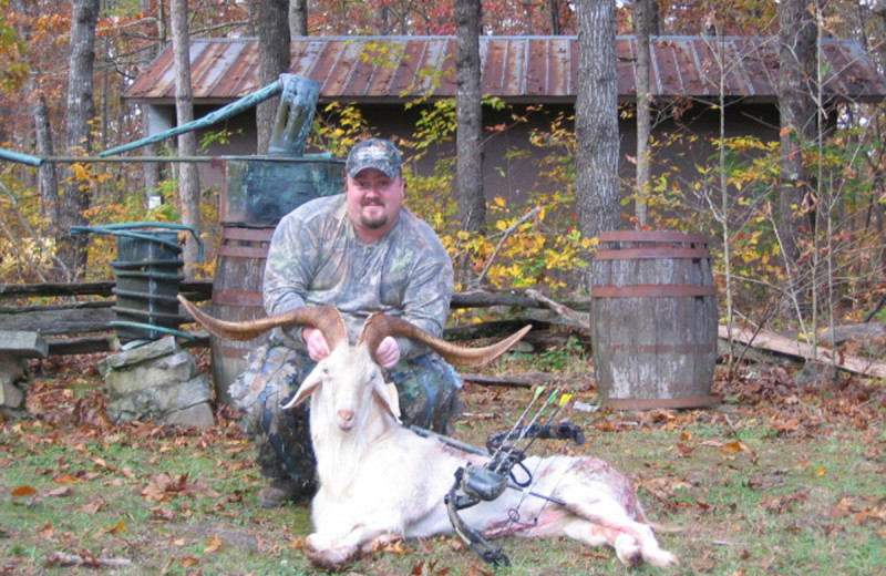 Angora Goat hunting at Caryonah Hunting Lodge.