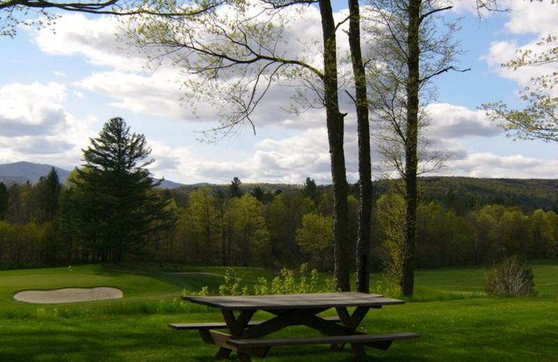 Picnic table at Three Stallion Inn.