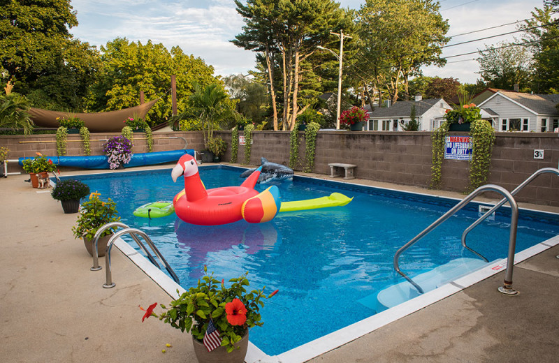 Outdoor pool at Footbridge Beach Motel.