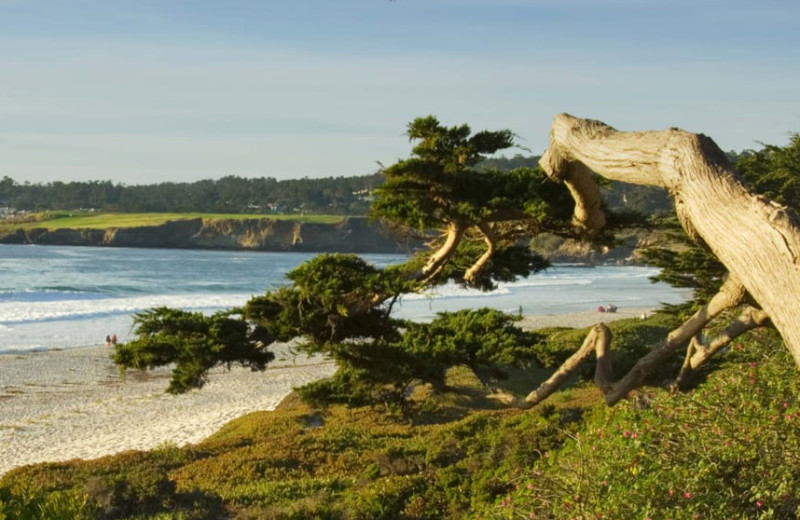 Beach near Old Monterey Inn.