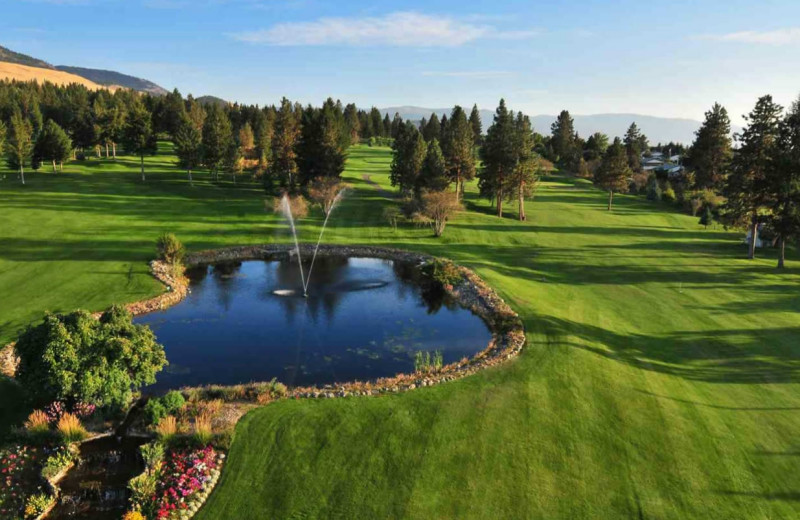 Golf course near Playa Del Sol Resort.