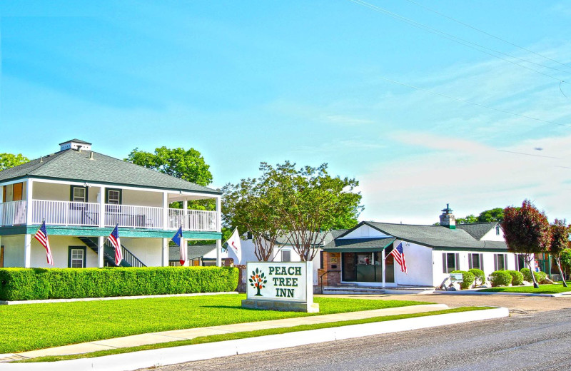 Exterior view of Peach Tree Inn & Suites.