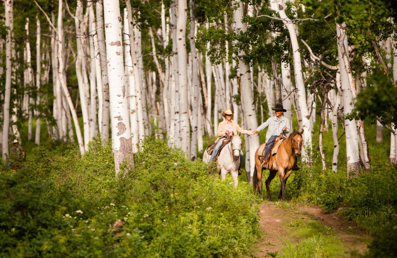 Horseback riding at The Home Ranch.