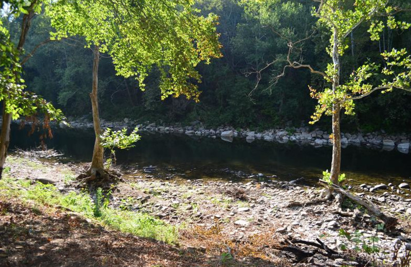 River at Greenbrier River Retreat.