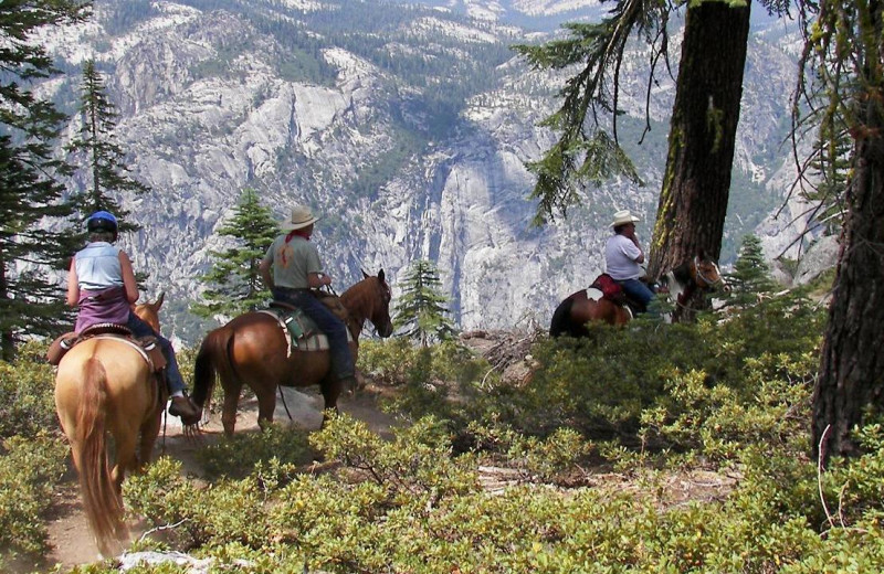 Horseback riding at Yosemite's Scenic Wonders.