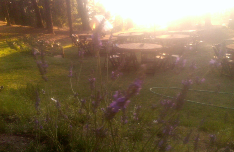 Tables at Precious Forest.