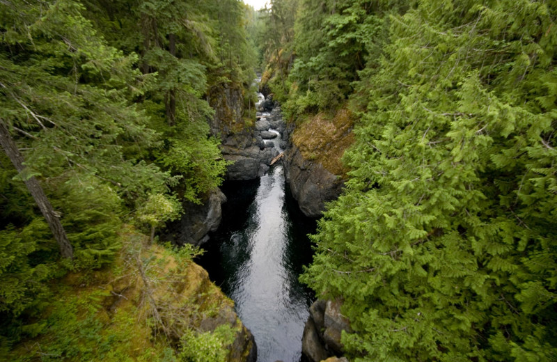 Waterfall near Sunrise Ridge Waterfront Resort.